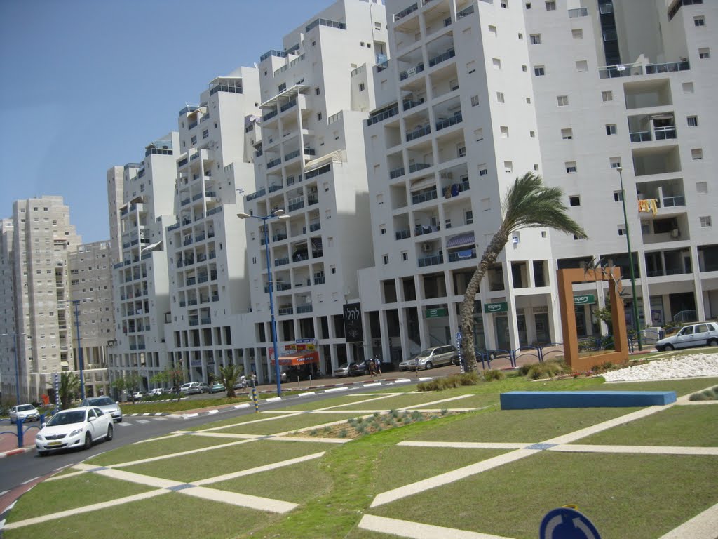 Barzilai Hospitals Surroundings