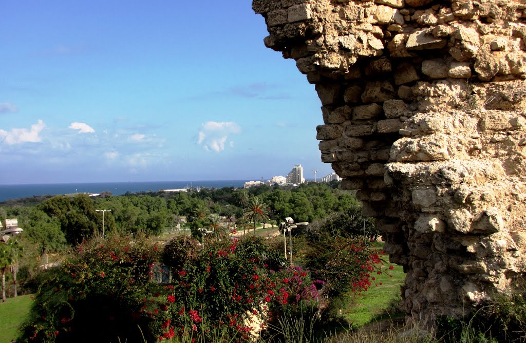 PANORMAGREEN ASHKELON