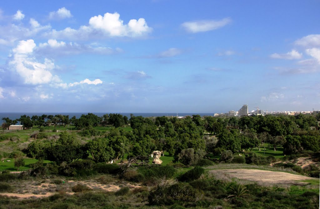 GREEN ASHKELON PANORAMA