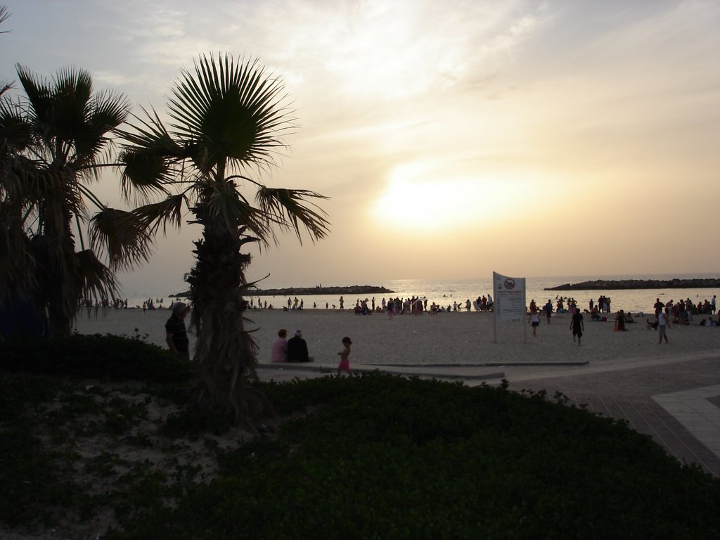 Beach At Sunset