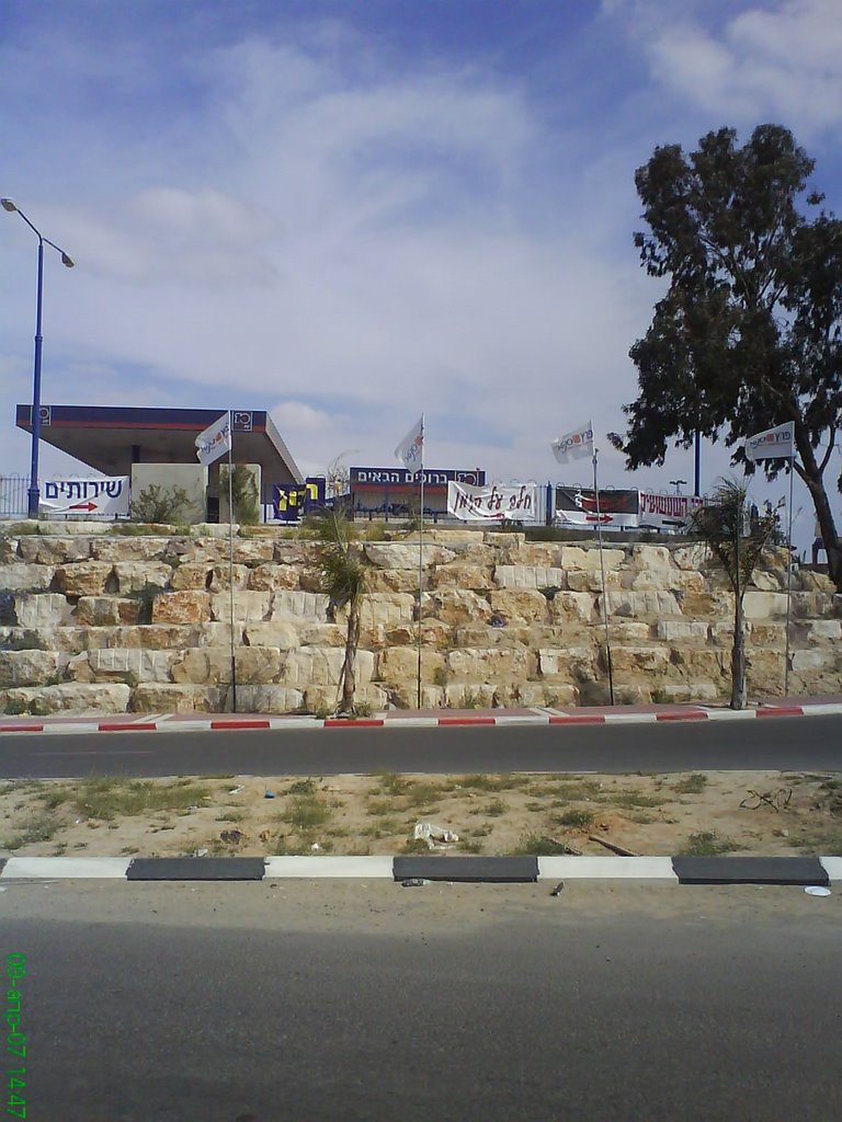 Dimona