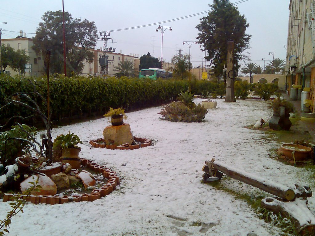 Snow in Dimona