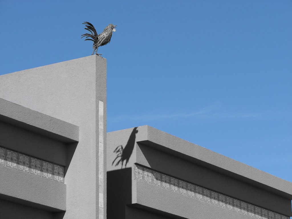 The Cock of Dimona