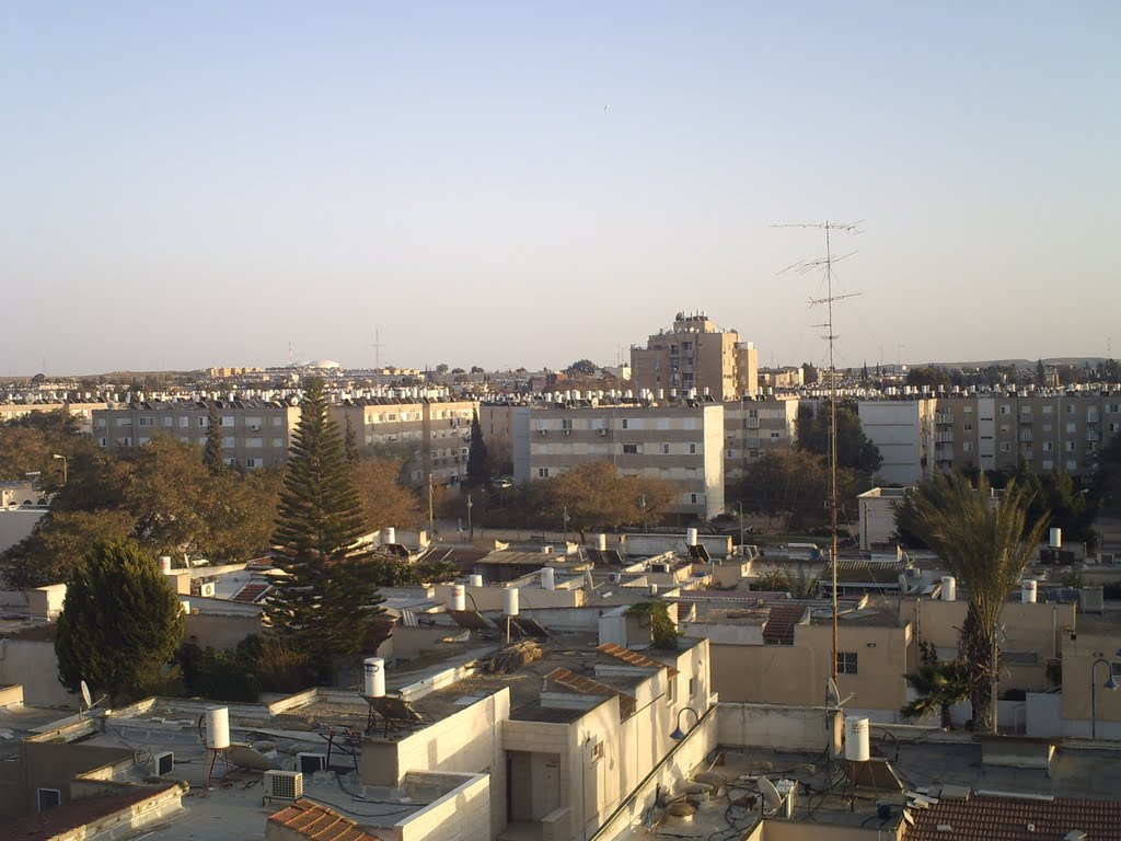 דימונה