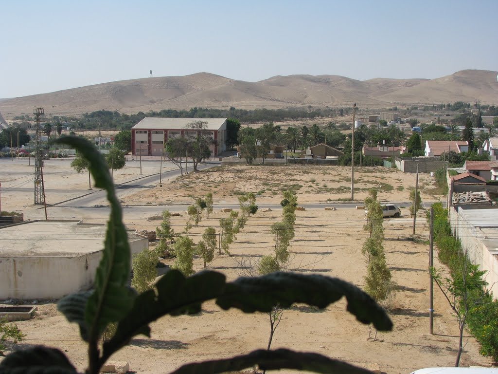 Dimona