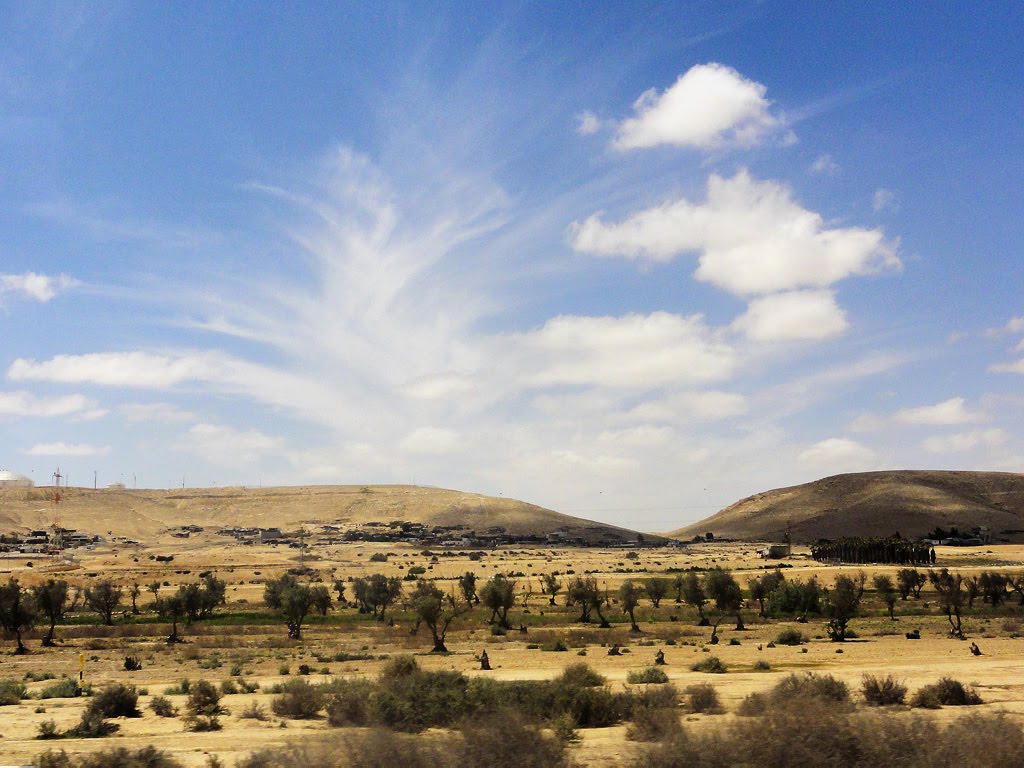 Views near Dimona