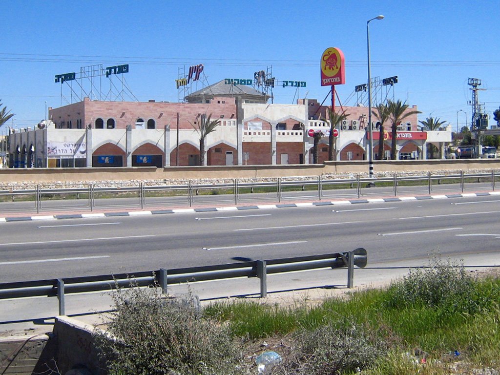 Dimona
