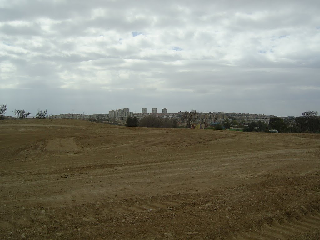 Dimona