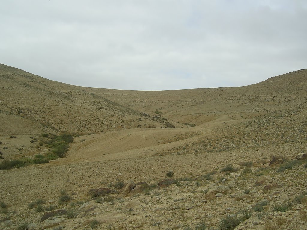 just outside Dimona