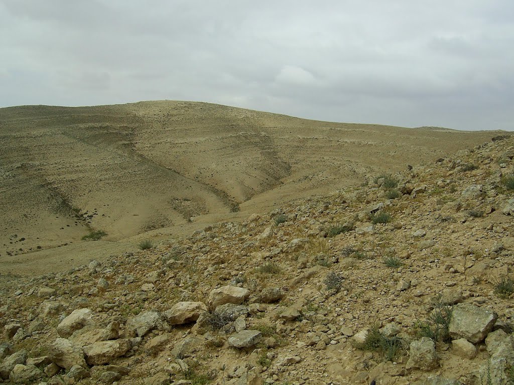 hills outside Dimona