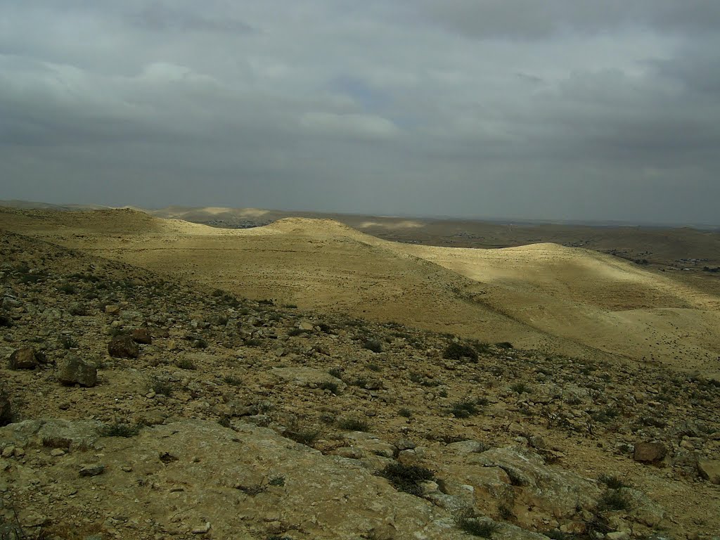 Negev