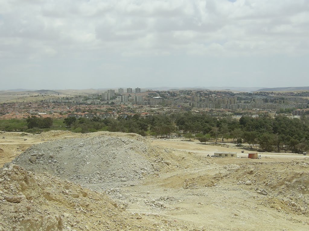 Dimona