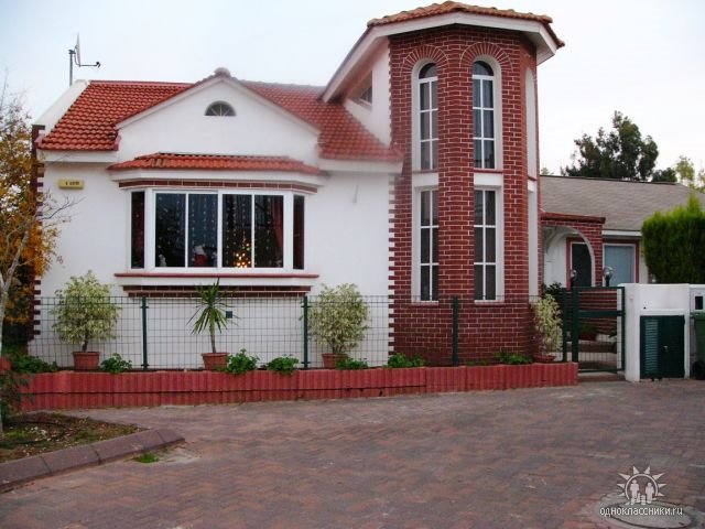Haluza 8