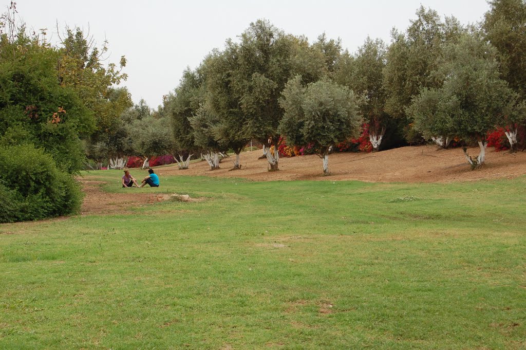 Tayelet qiryat gat