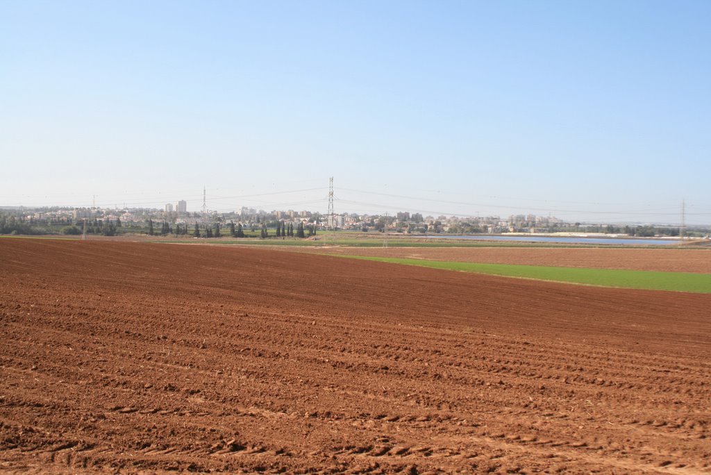 Kiryat Gat - North