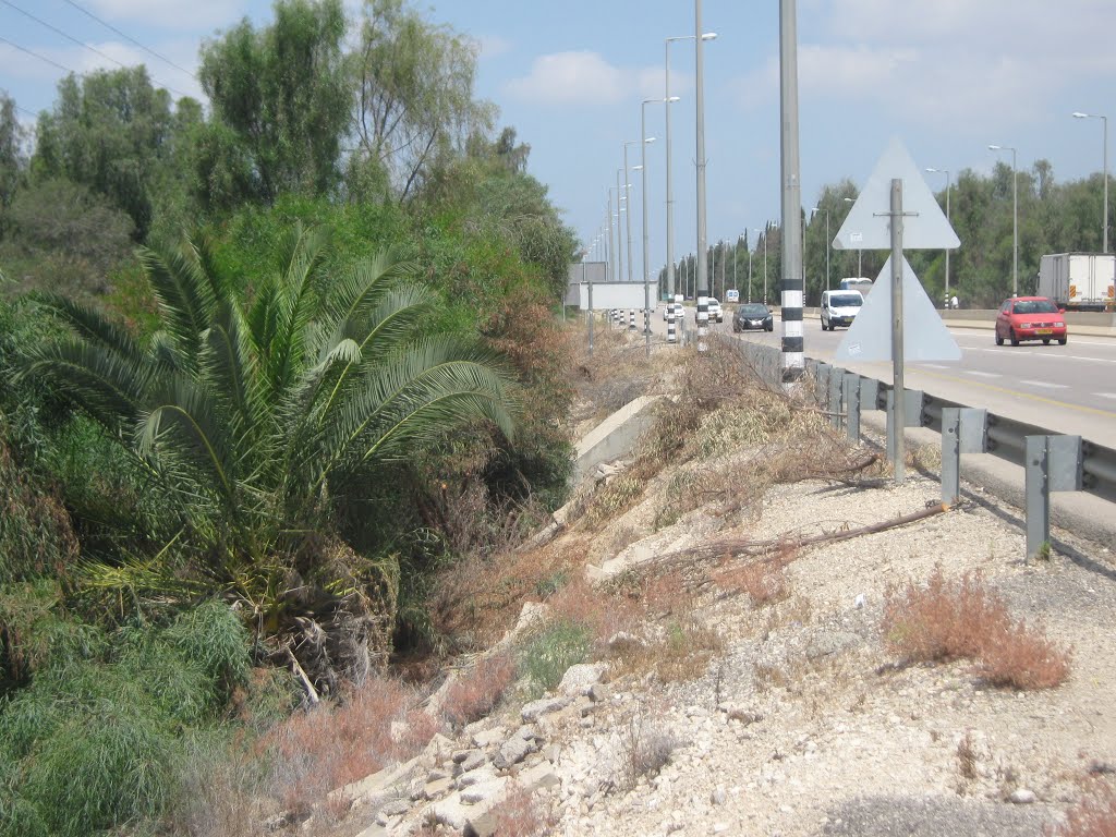 חציית נחל לכיש כביש 35 צד דרומי