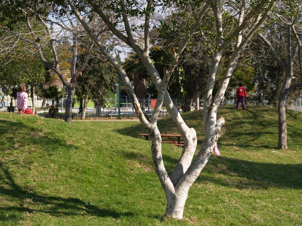 Kiryat Malakhi, Park