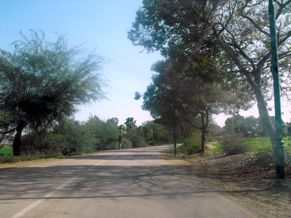 Timorim - Entrance Road