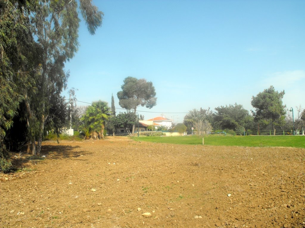 Timorim
