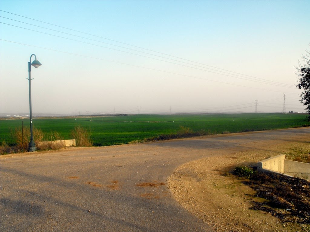 Timorim -The Road to the Cemetery