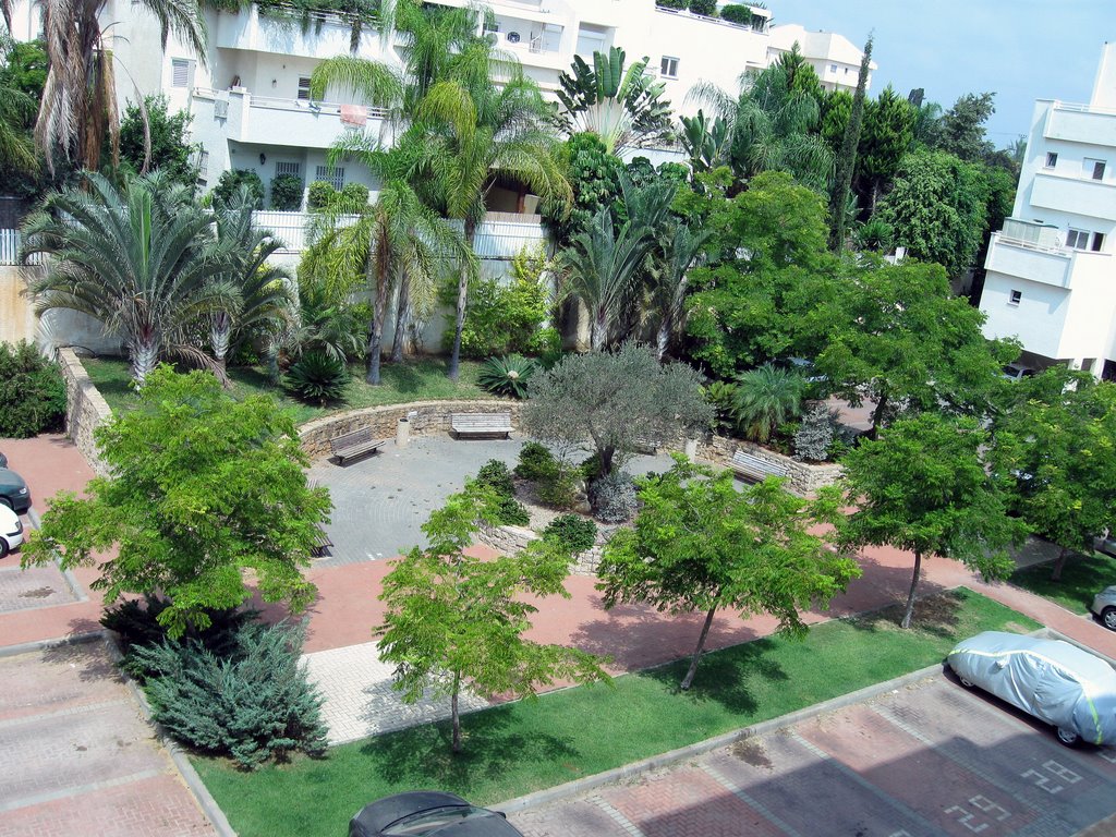 View of internal square - Summer