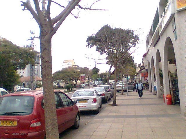 Weitzman st.