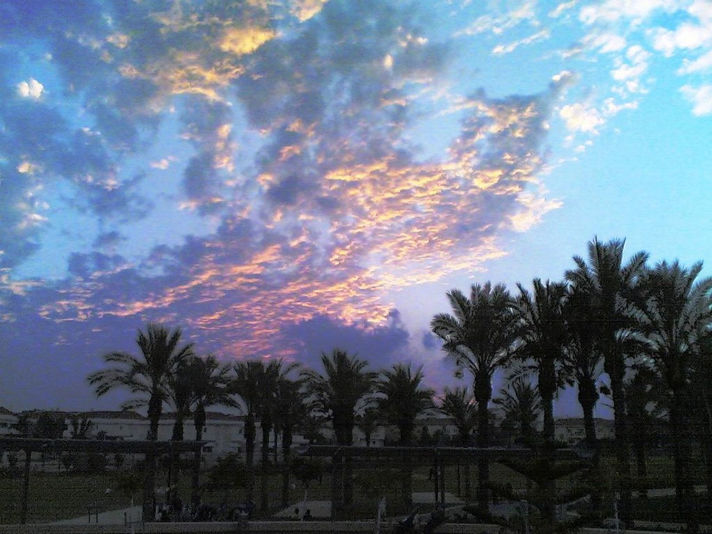 Sunset at Kfar Saba Municipal Park שקיעה בפארק העירוני כפר סבא