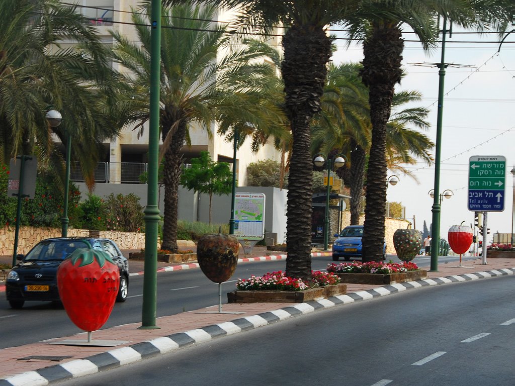 Strawberry lane
