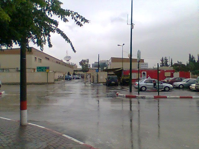 Licensing Office