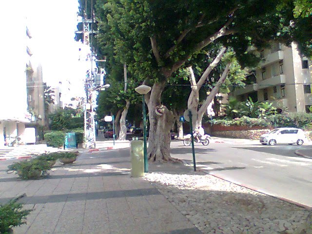 Hertzel st.