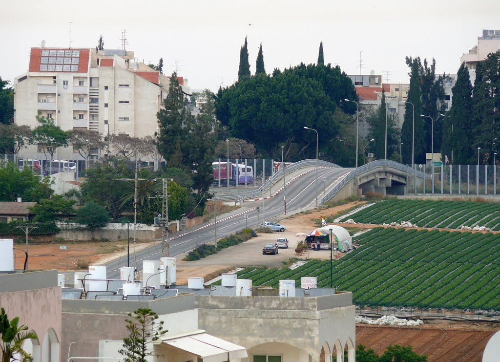 Asirei Tsiyon, a bridge between Hod HaSharon and Kfar Saba