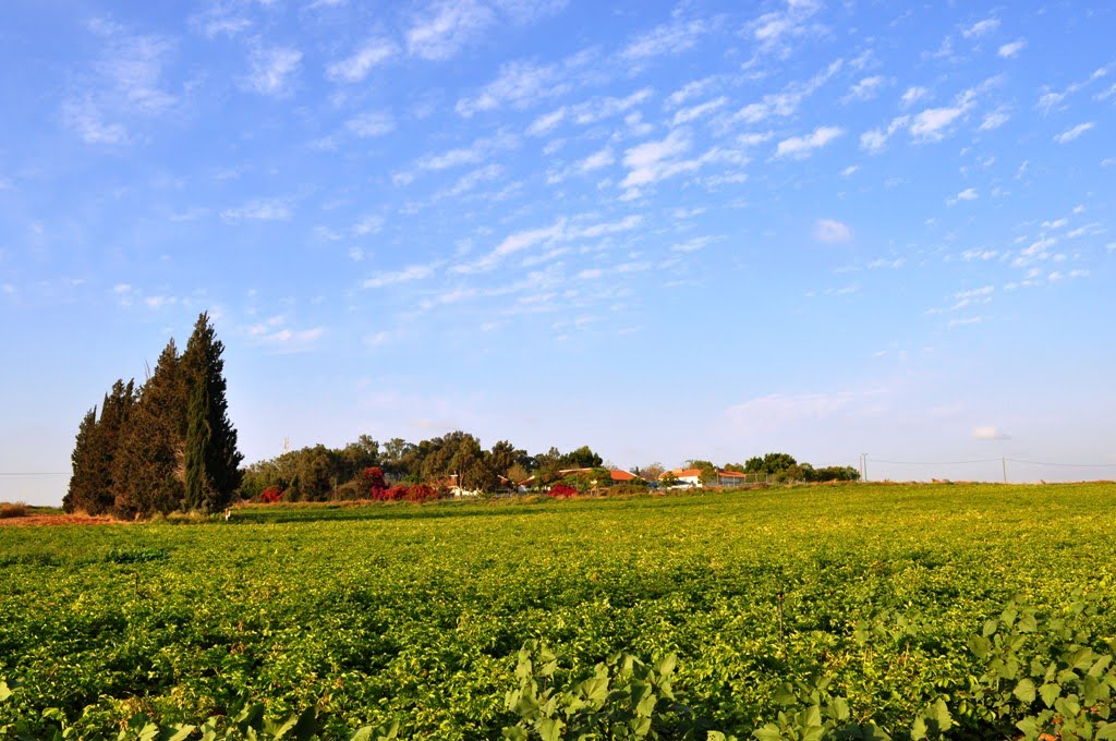 Farm for Agricultural Education