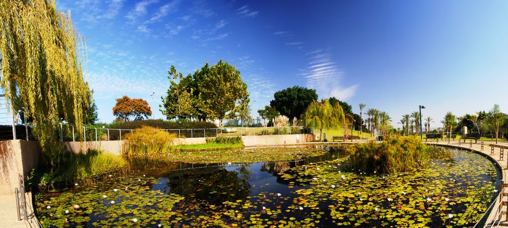 Ecological pond