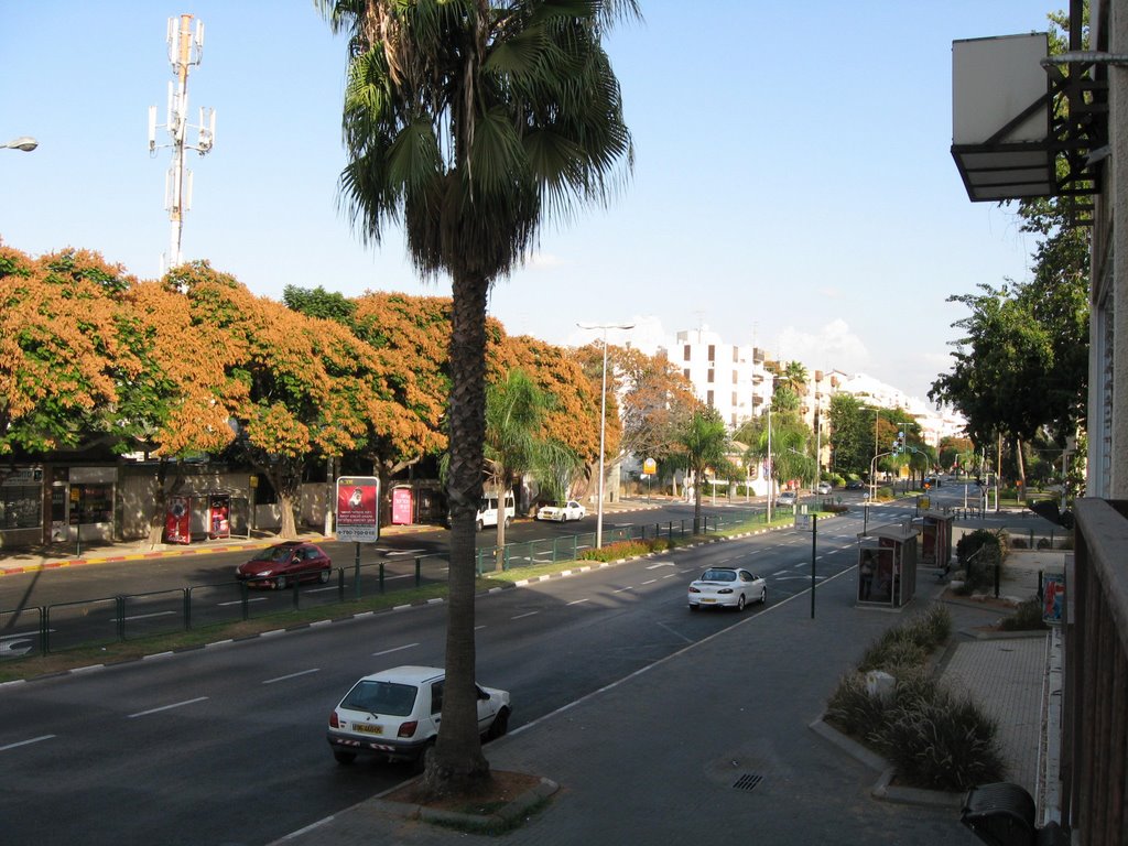 Weizmann street (east)