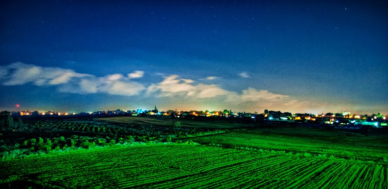 Field at night