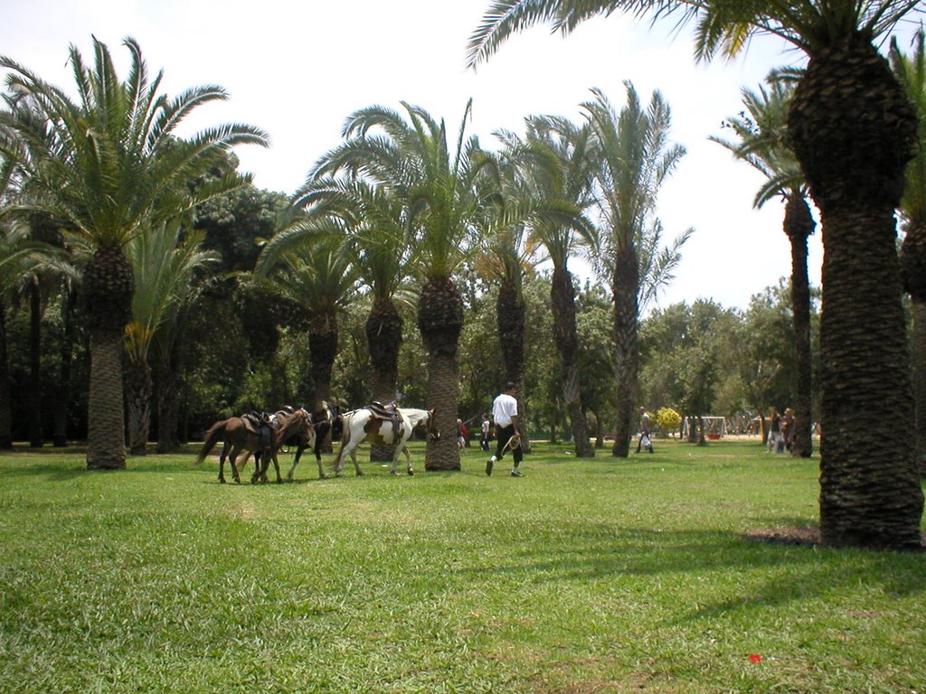 Park HaYarkon