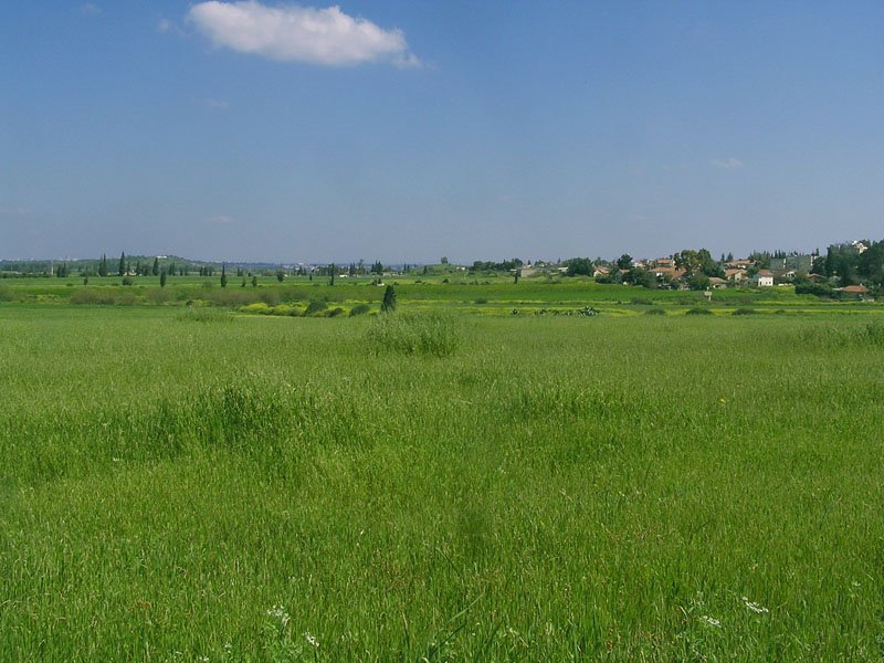 Beautiful Gedera, Israel
