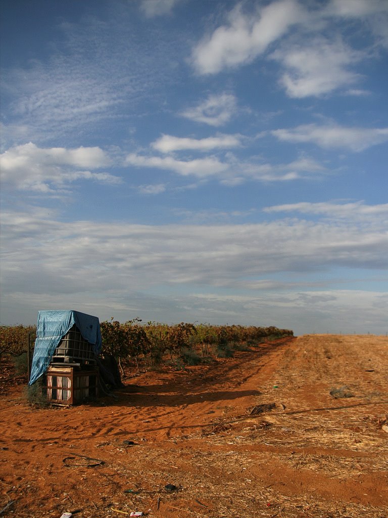 Fields near Gdera junction