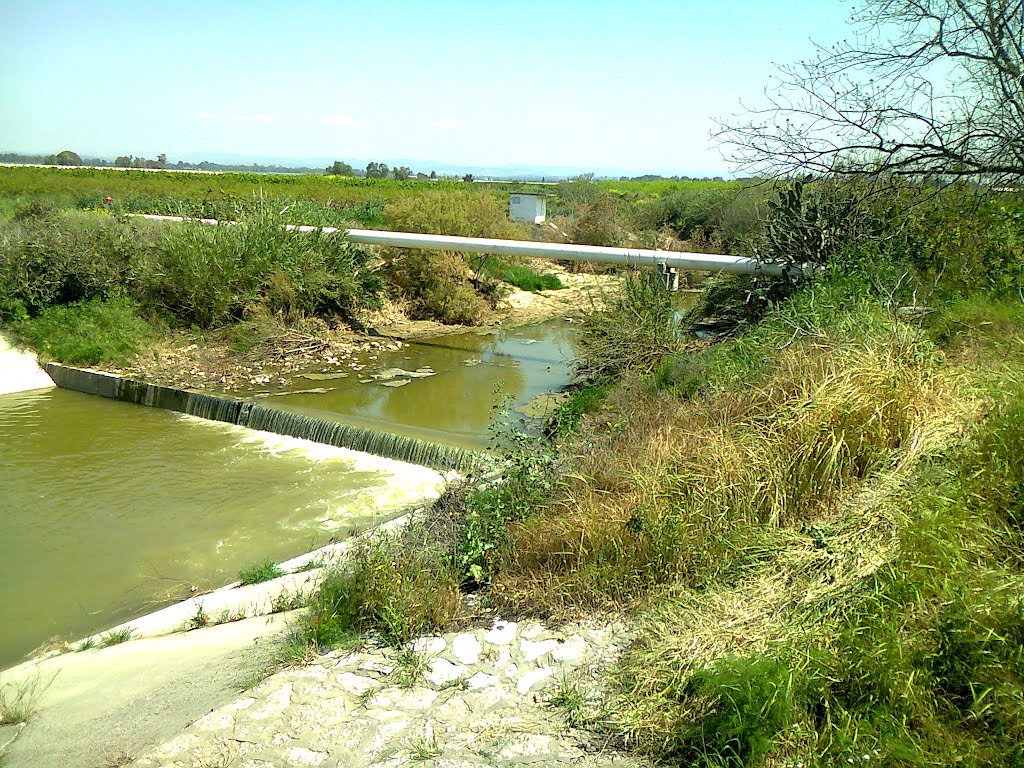 Sorek River near Kidron