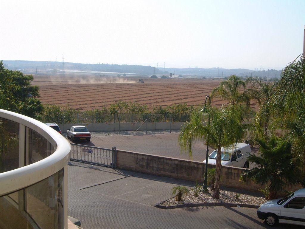 Where the city meets the country