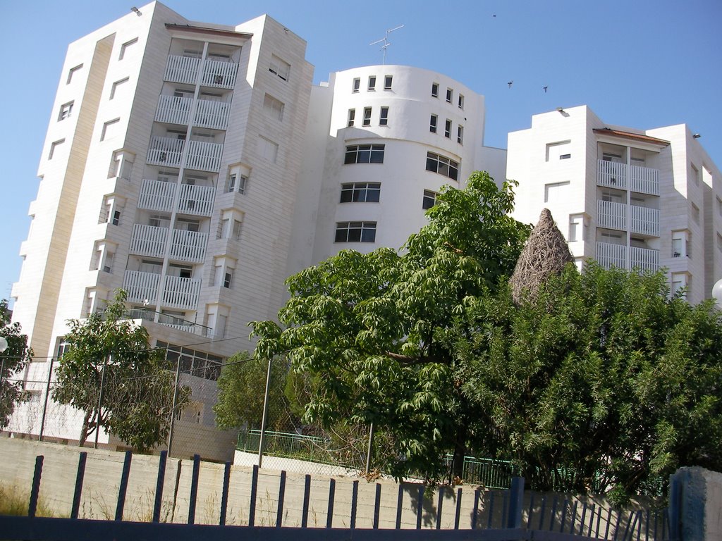 Lod Israel