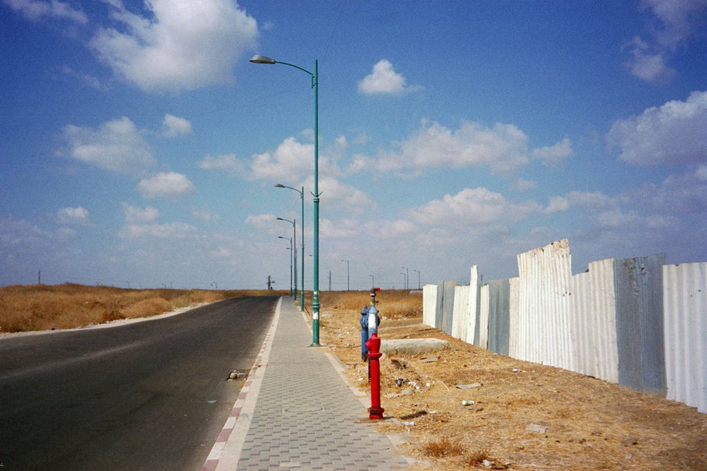 To the paradise road. 2009