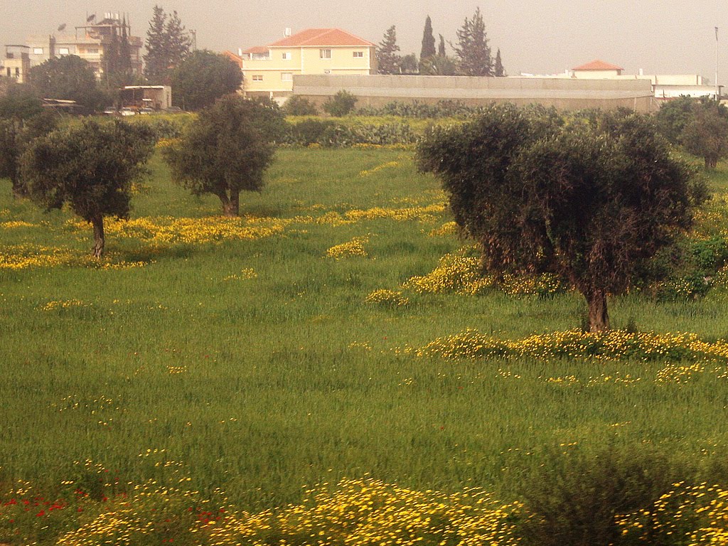 Near Lod