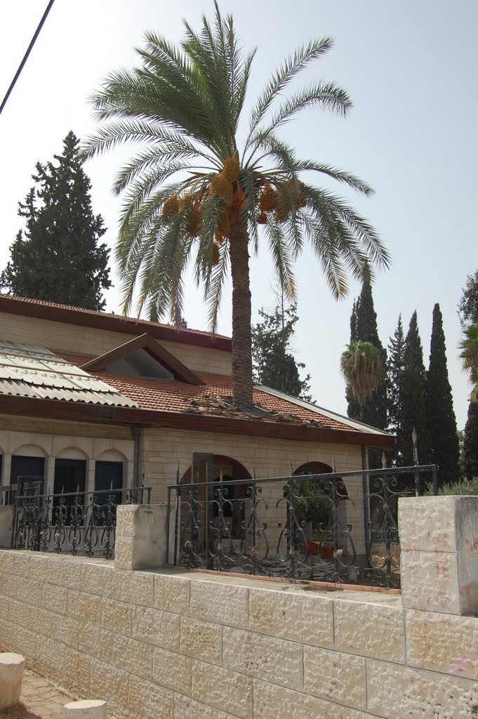 Al-Manar school, Lod