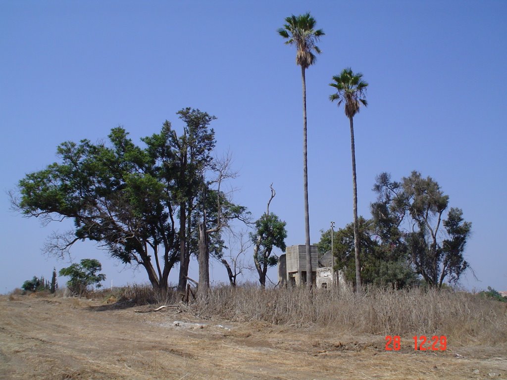 כפר אהרון - Kefar Aharon- ISRAEL - 1926