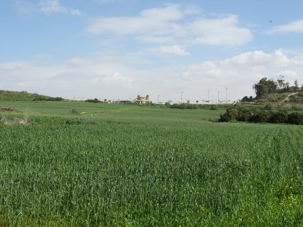 Field