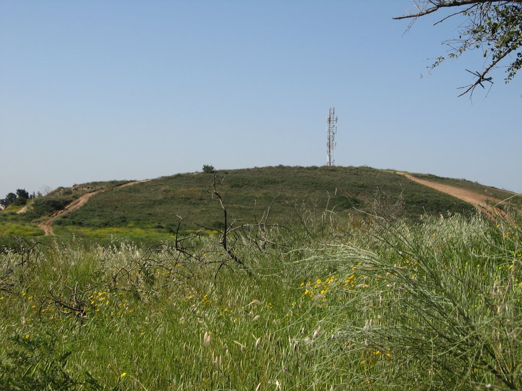Nes Ziona, givat ha-curkar