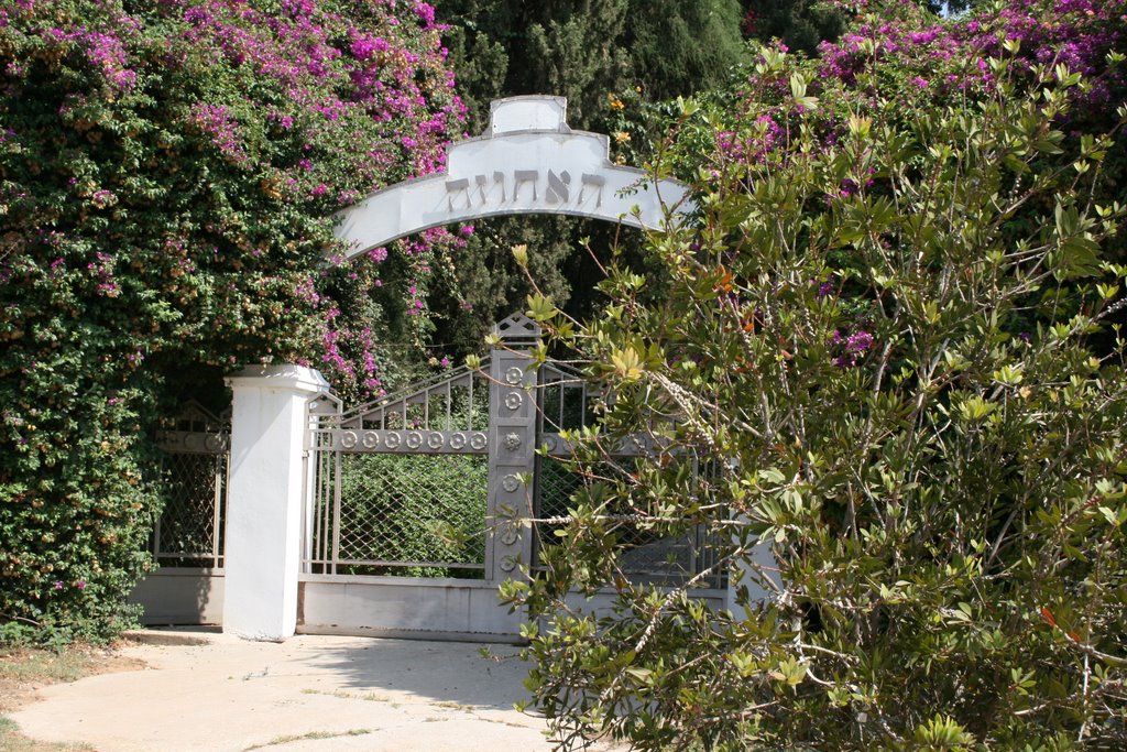 Beit Hanan - Ha-ahuza  |  www.mishely.com