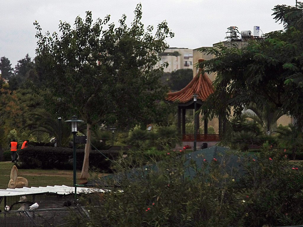 Ness Tziona Park