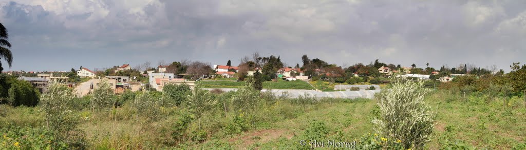 Netaim - View of the south side